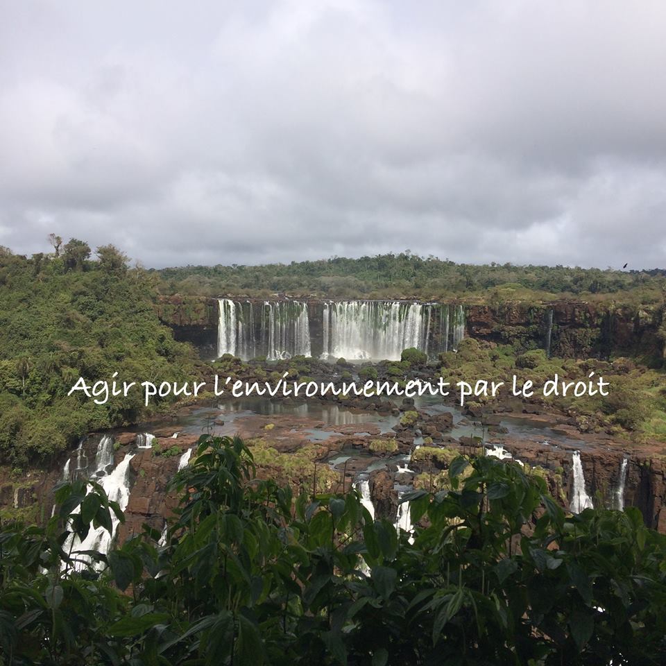 Action Environnement Droit